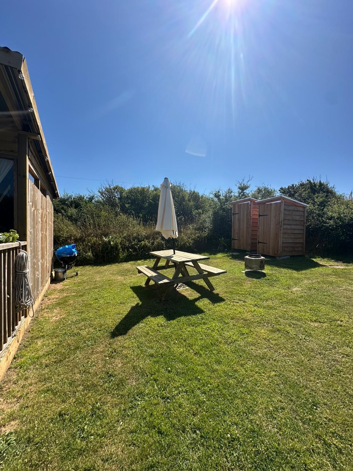 Lawn with a picnic table and umbrella, shed, and blue sky. Sunlight.