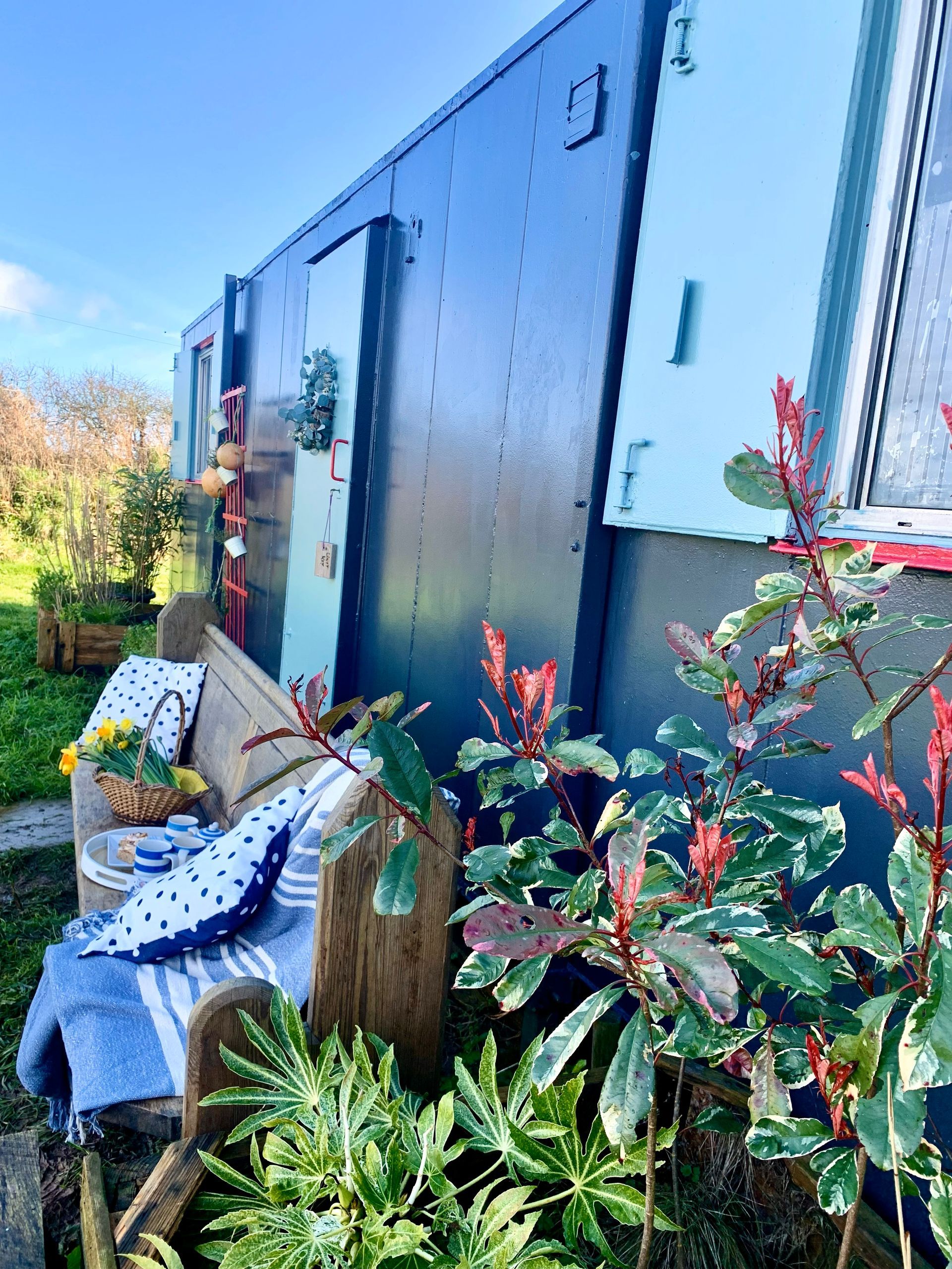 Wooden bench with blue patterned cloth, plants, and a dark blue building on a sunny day.
