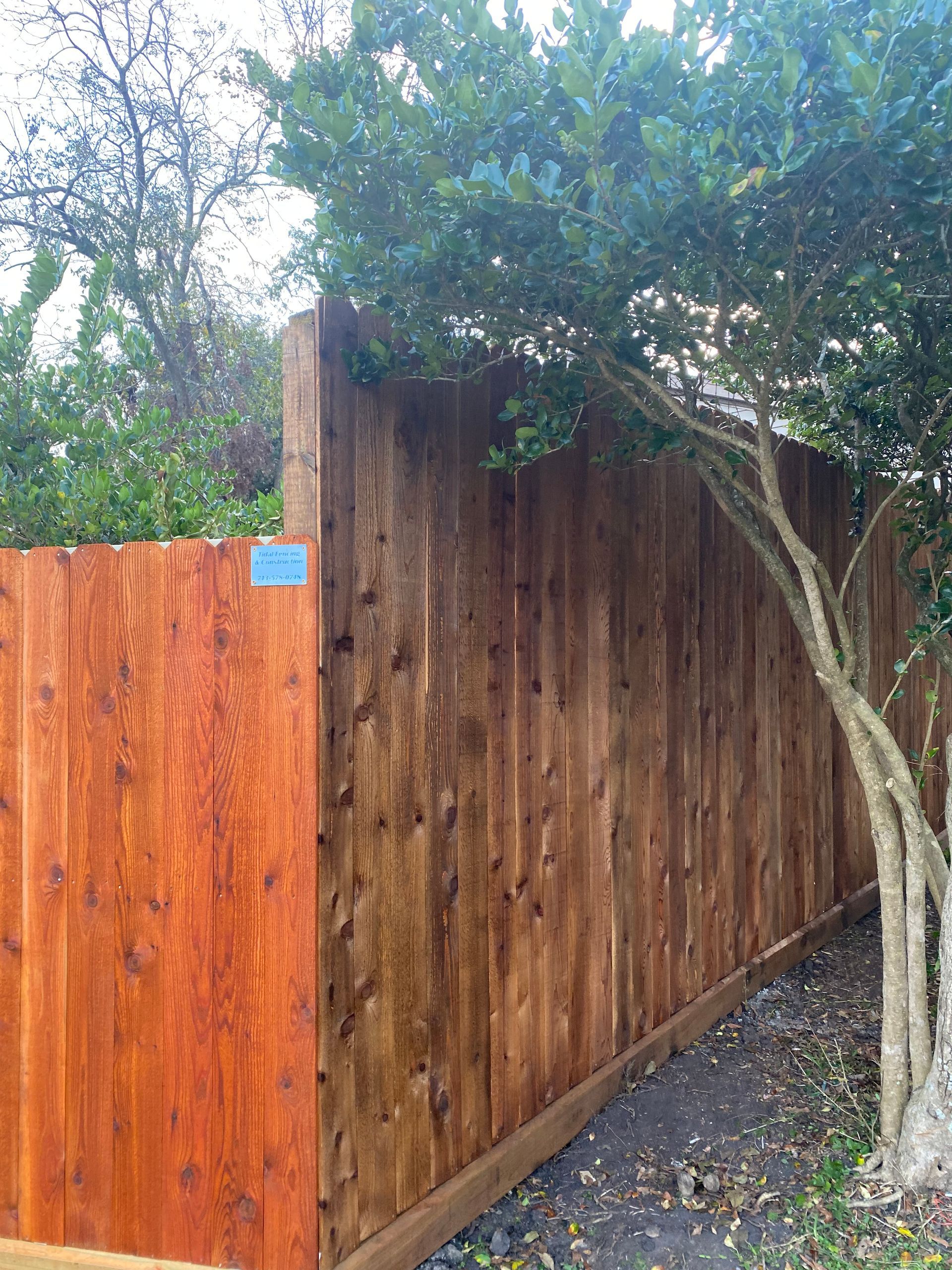 Close-up of a sturdy black chain-link fence creating a protective boundary.