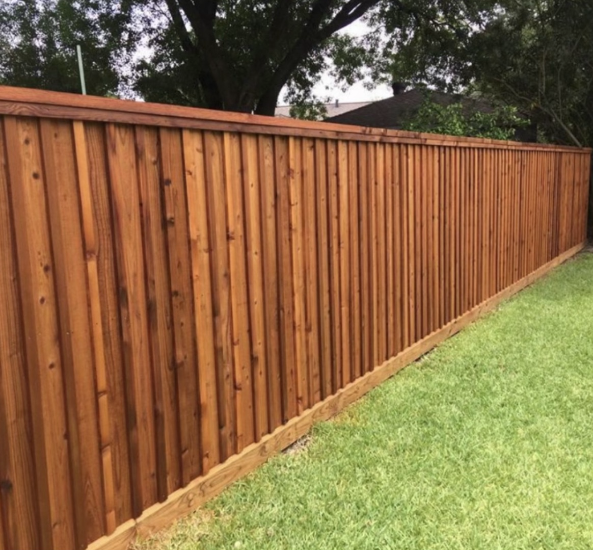 Close-up of a sturdy black chain-link fence creating a protective boundary.