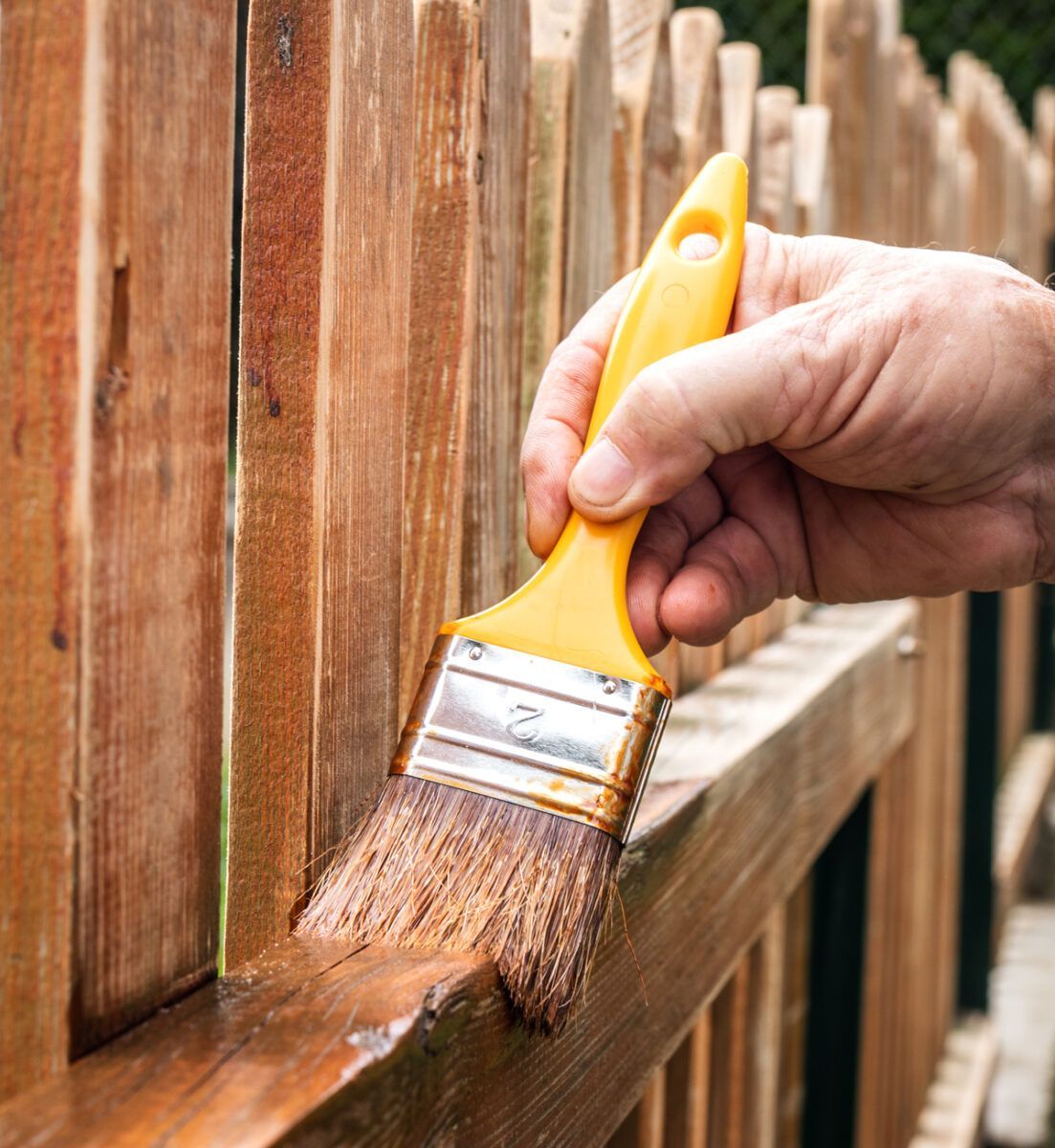 Close-up of a sturdy black chain-link fence creating a protective boundary.