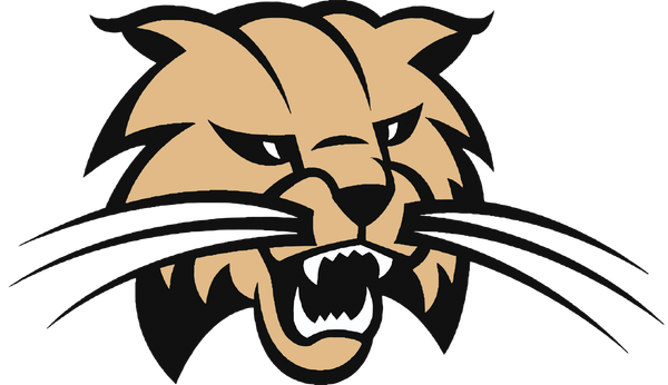 Logo for Buchholz Volleyball