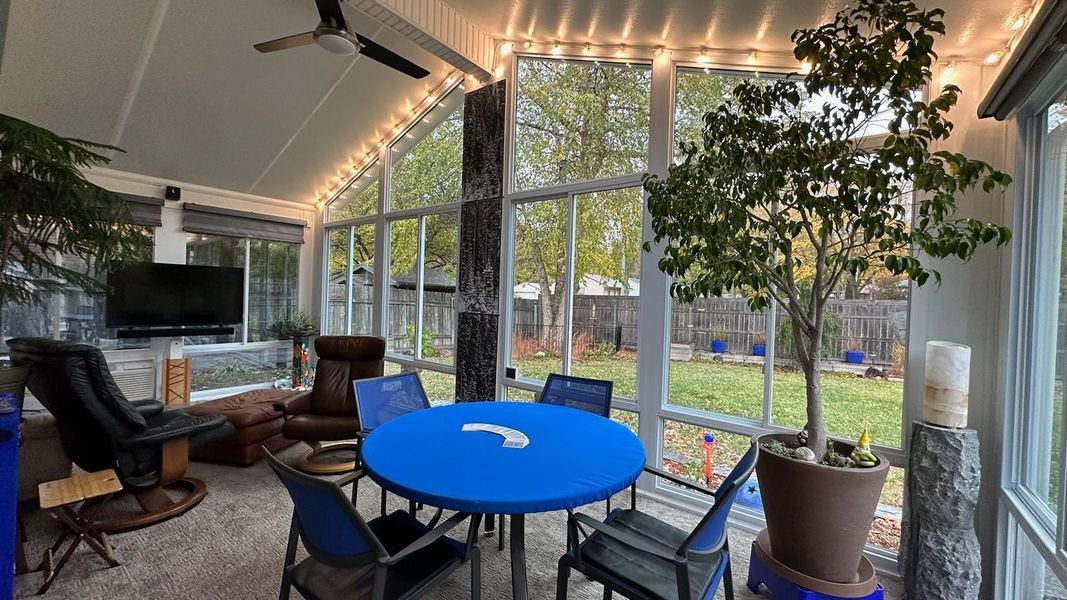 A bright sunroom with a round blue table, chairs, a television, a large potted tree, and string lights on the ceiling.