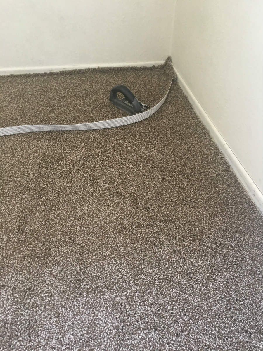 A vacuum cleaner is sitting on a carpeted floor in a room.