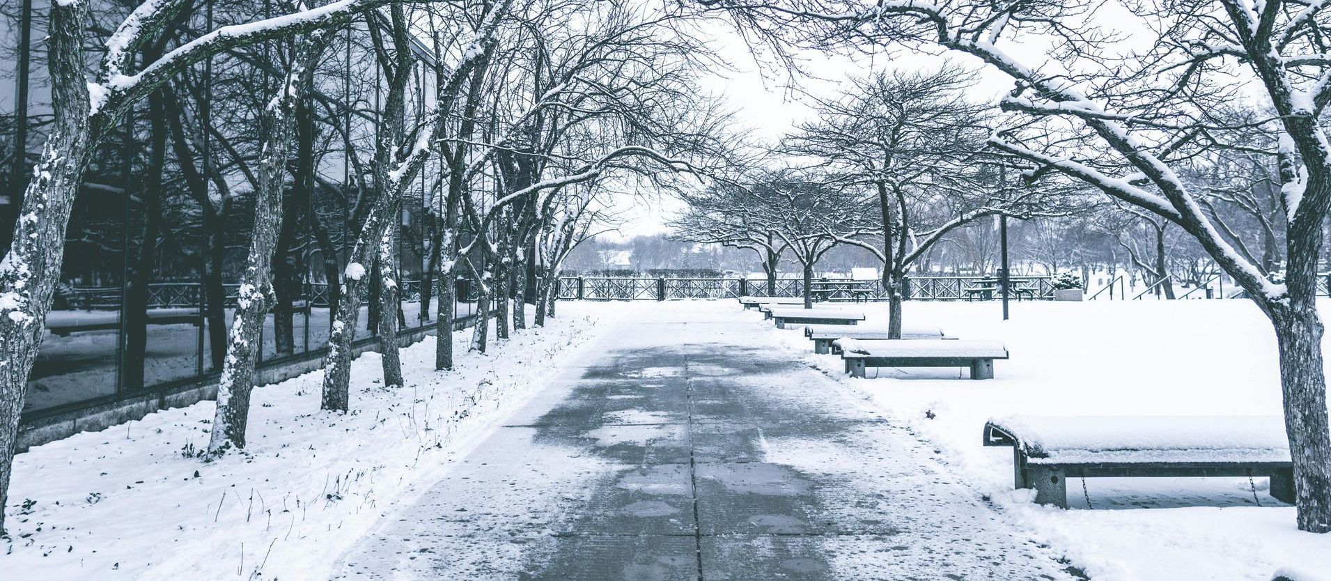 A snowy park with trees and benches covered in snow