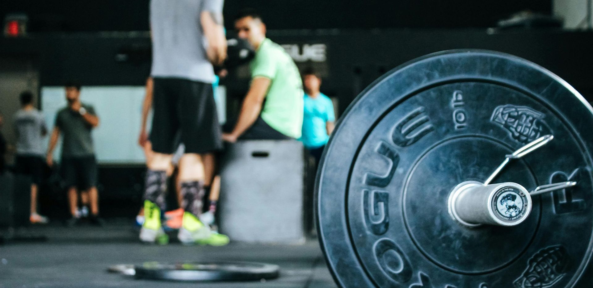 A black weight plate with the word rogue on it