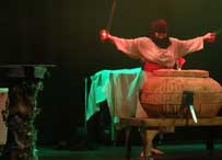 london theme park magic show