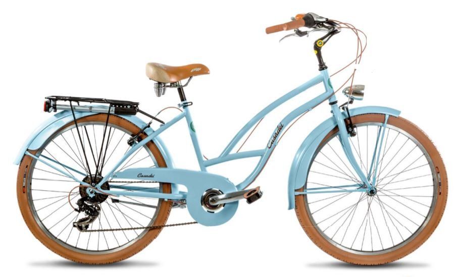 Bicicletta azzurra e marrone