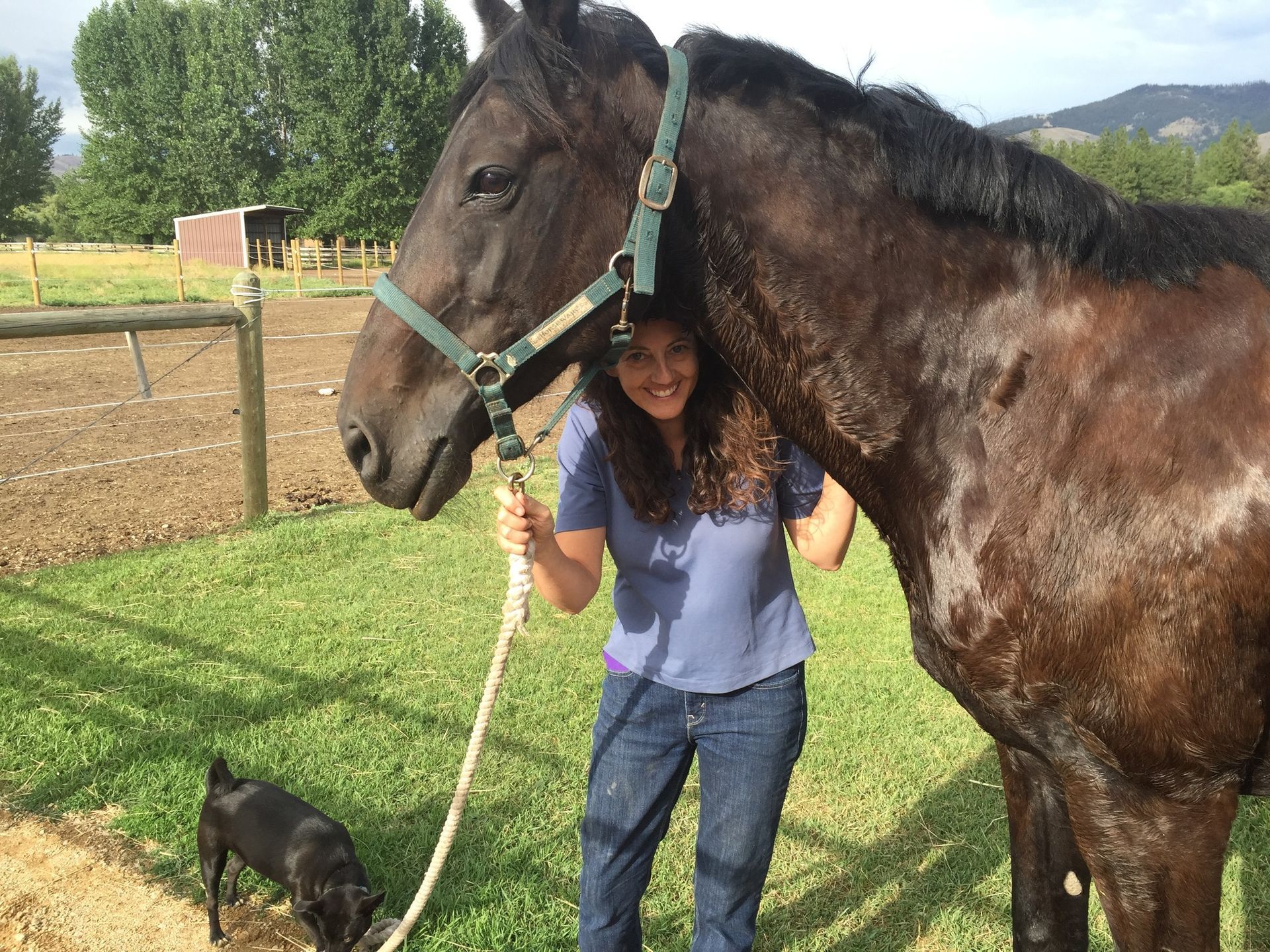 A woman is standing next to a horse in a field.
