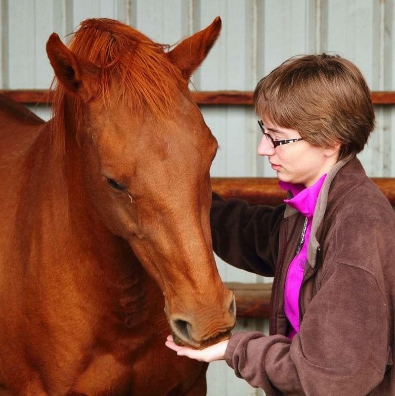 A woman in a pink shirt petting a brown horse