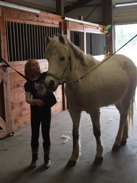A little girl is standing next to a white horse in a barn