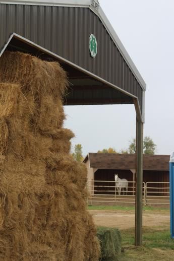 A large pile of hay is under a shed with a horse in the background.