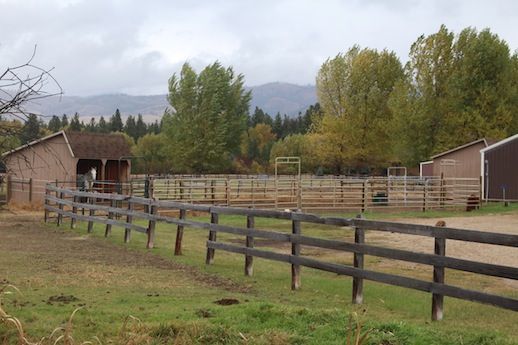 A wooden fence surrounds a lush green field with a barn in the background.