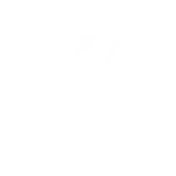 bear head with ski goggles on from the arctic blast car wash logo