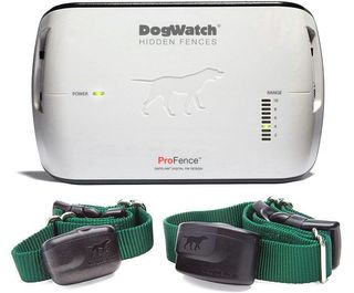 A dog watch hidden fence with two green collars