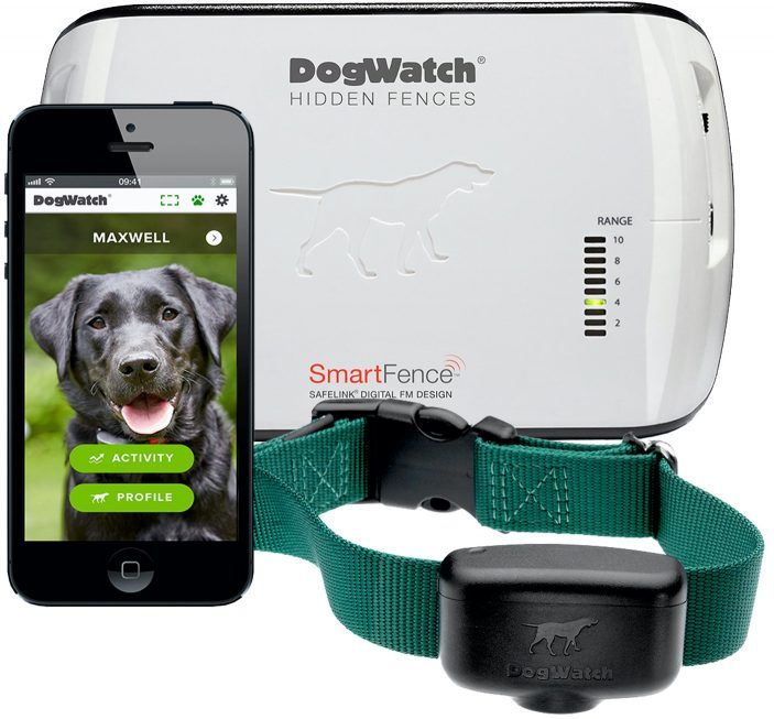 A dog watch hidden fence with a smart fence collar