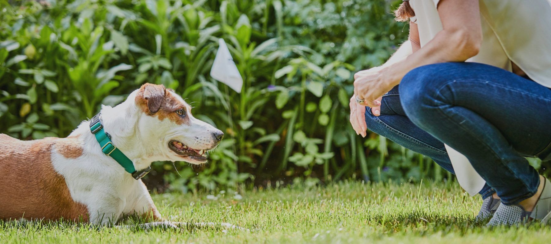 A woman is kneeling down next to a dog in the grass.