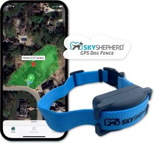 A blue gps dog fence is sitting next to a cell phone.