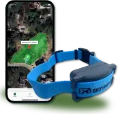 A blue dog collar is sitting next to a cell phone.