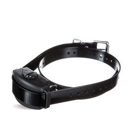 A black dog collar with a remote control attached to it on a white background.