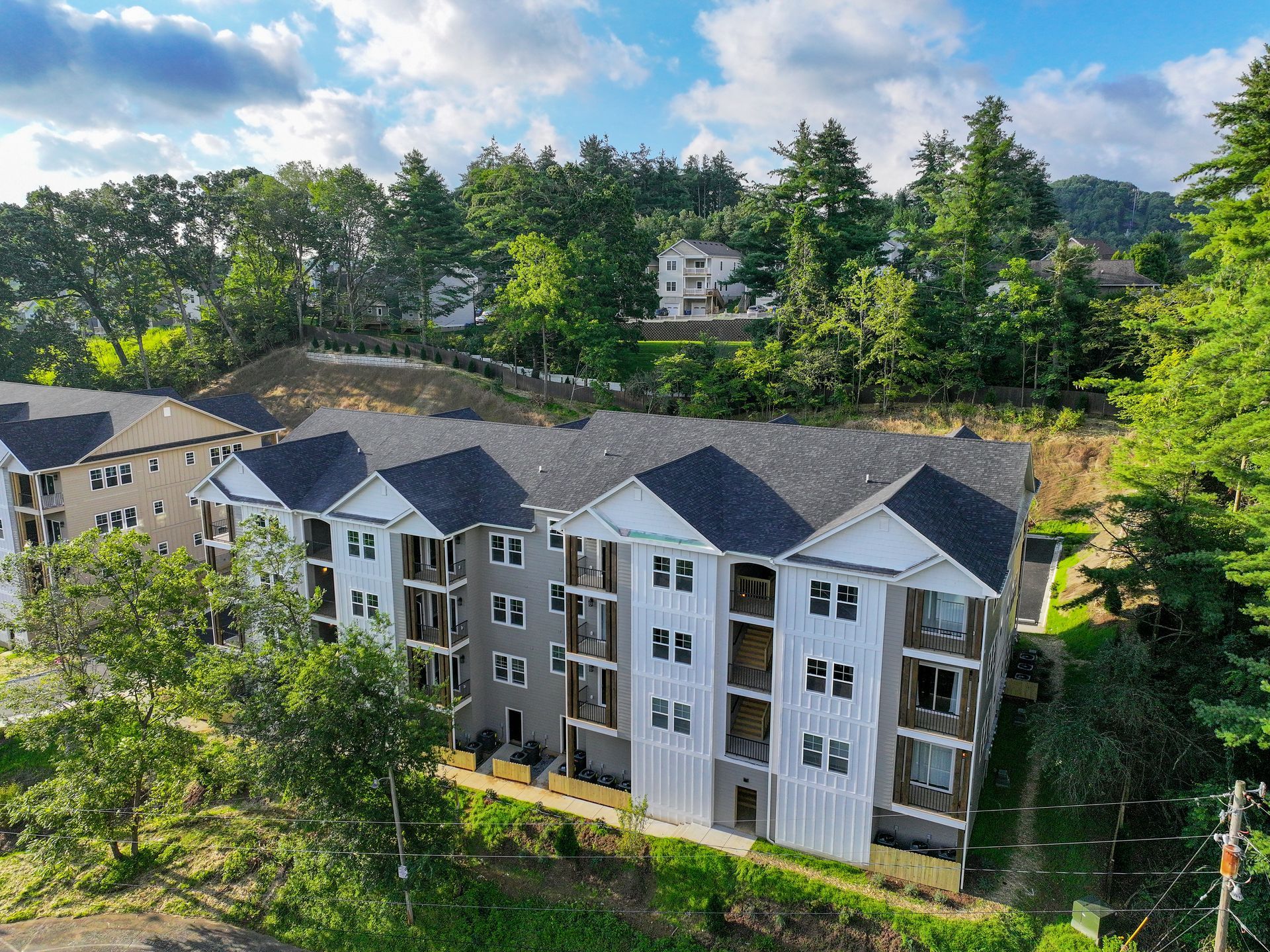 The Collection on 421