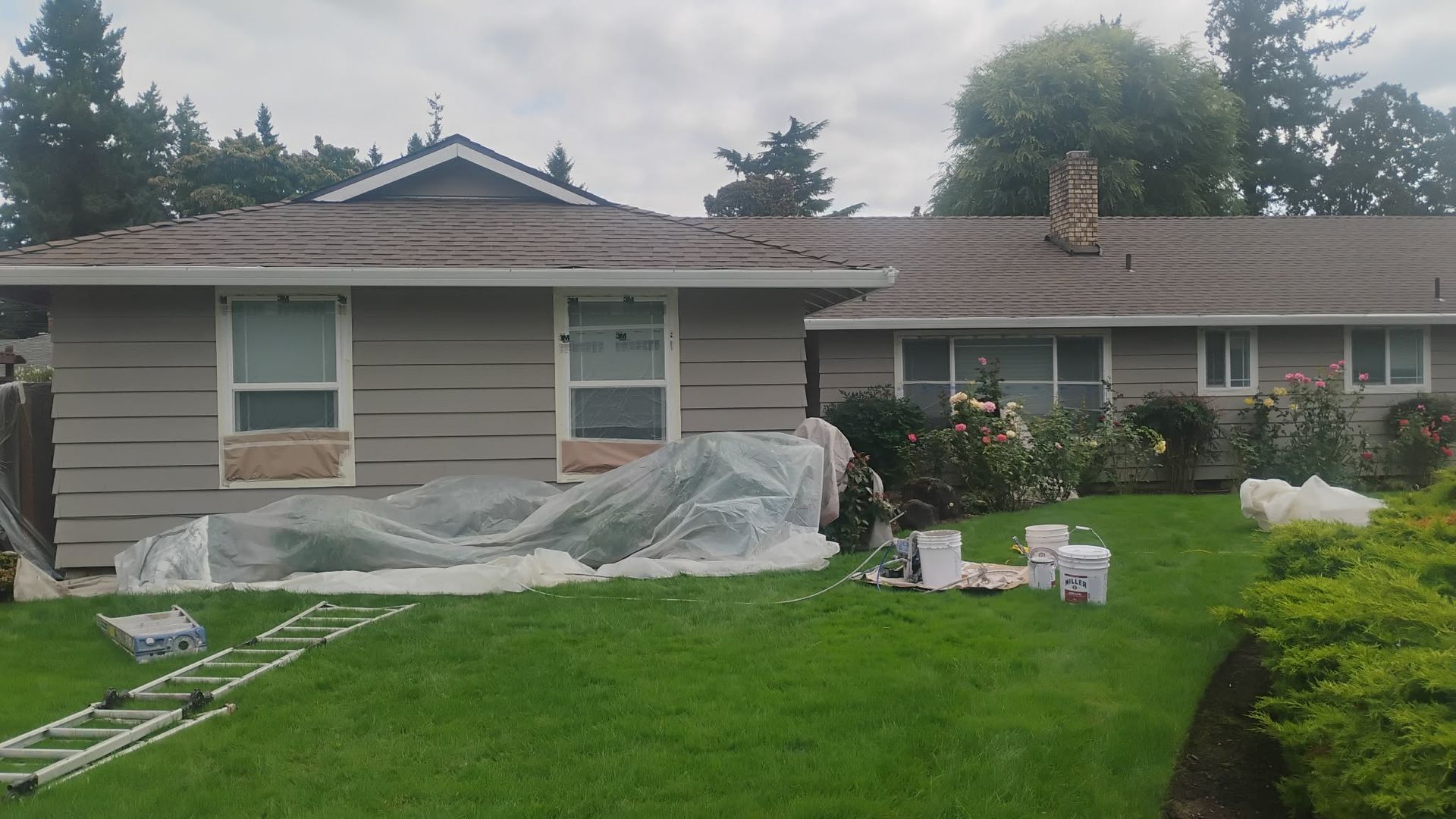 House exterior being painted; covered landscaping, ladder on lawn. Gray siding, brown roof, cloudy sky.