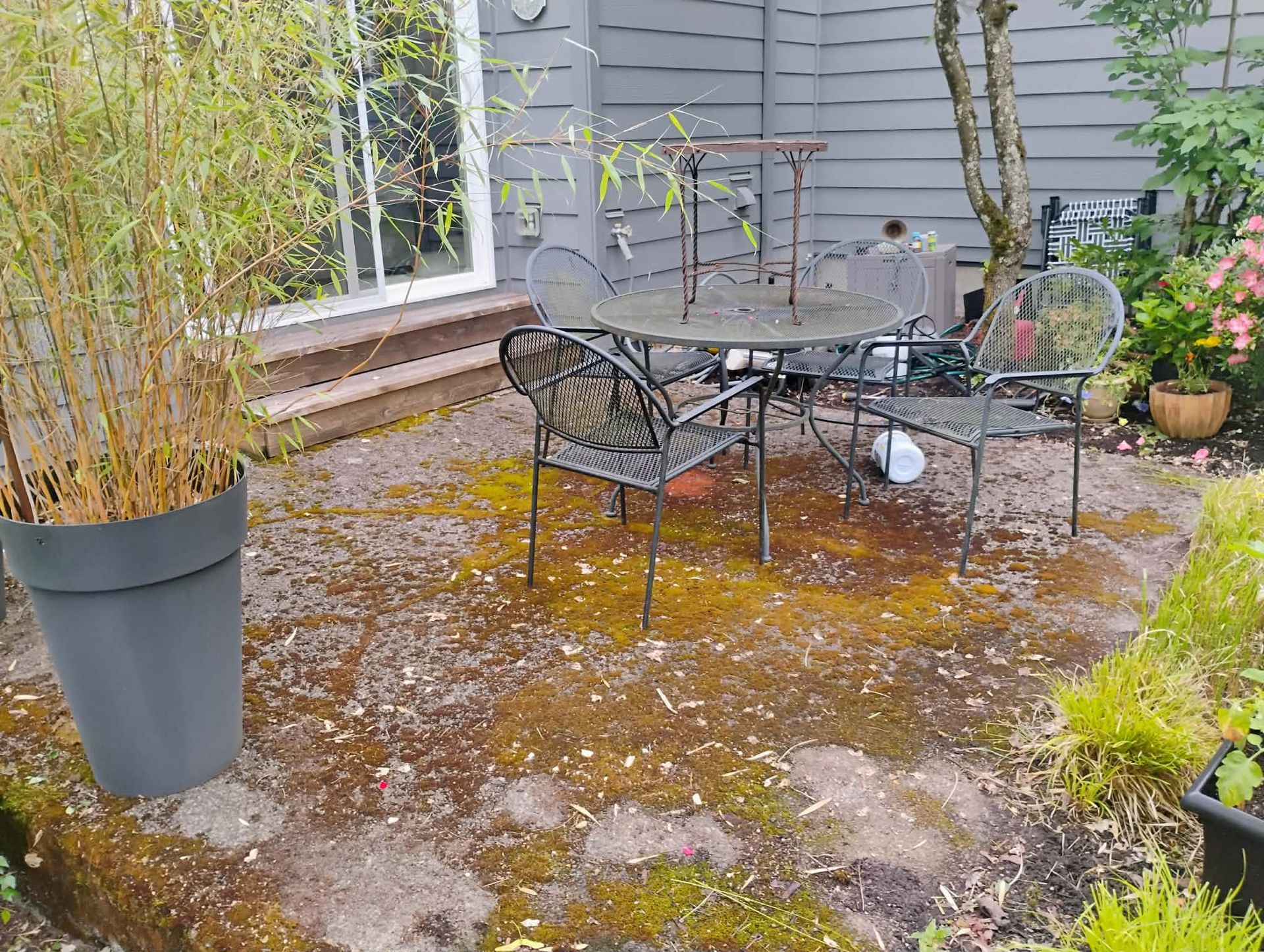 Patio with metal furniture, bamboo plant, and mossy ground. A glass door and a tree are visible.