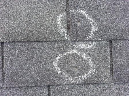 Hail Damage Shingle Roof Austin Roofing and Construction