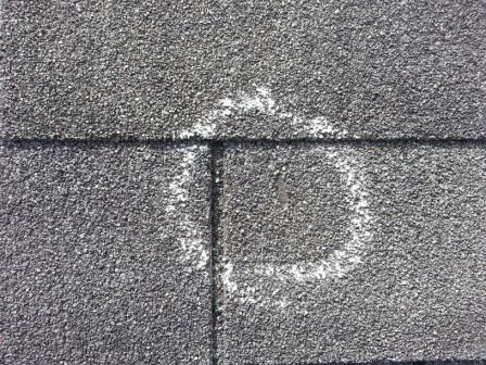 Hail Damage Shingle Roof Austin Roofing and Construction