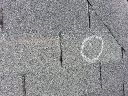 Hail Damage  to a Shingle Roof Picture