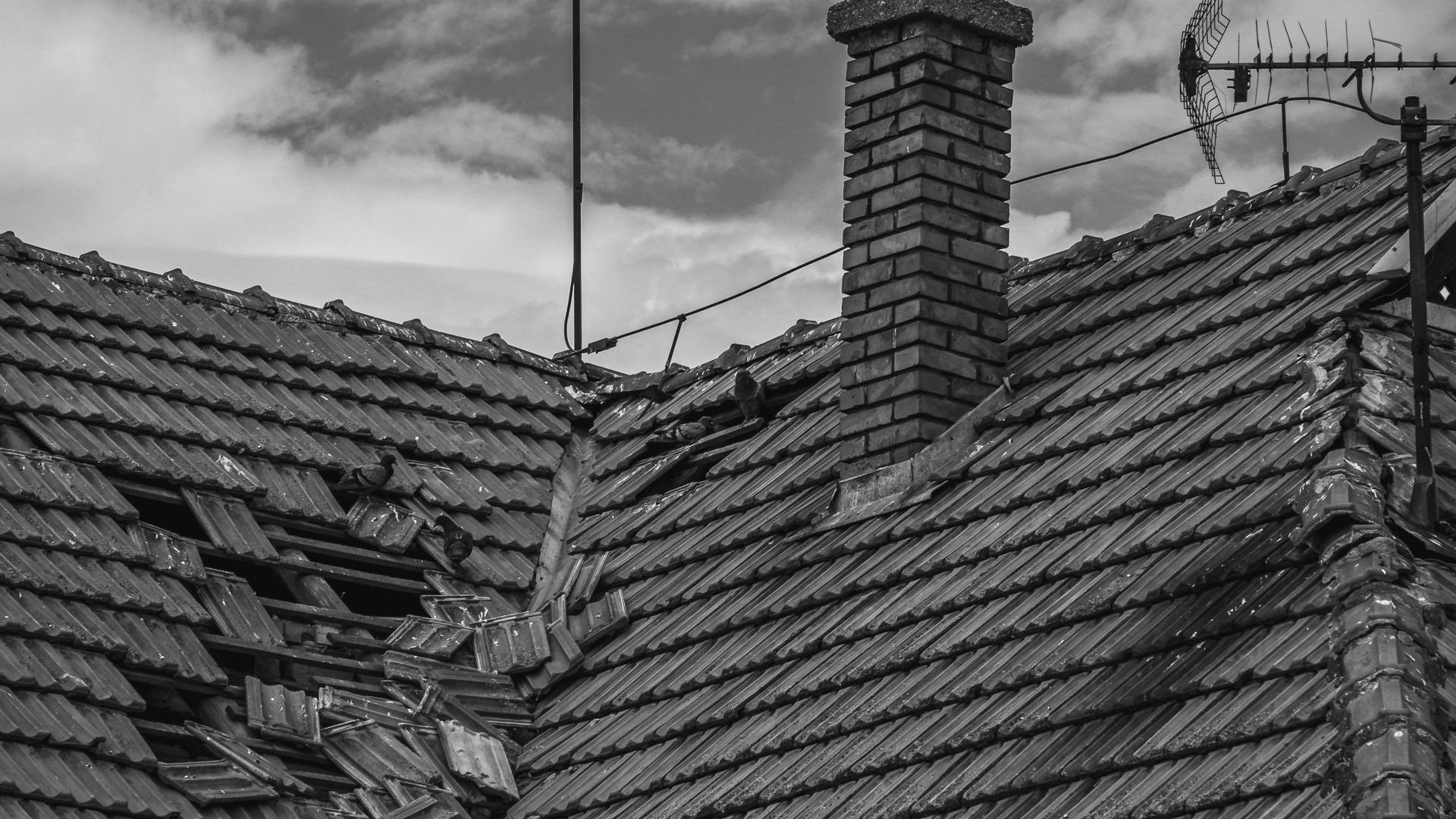 Common Causes of Roof Damage