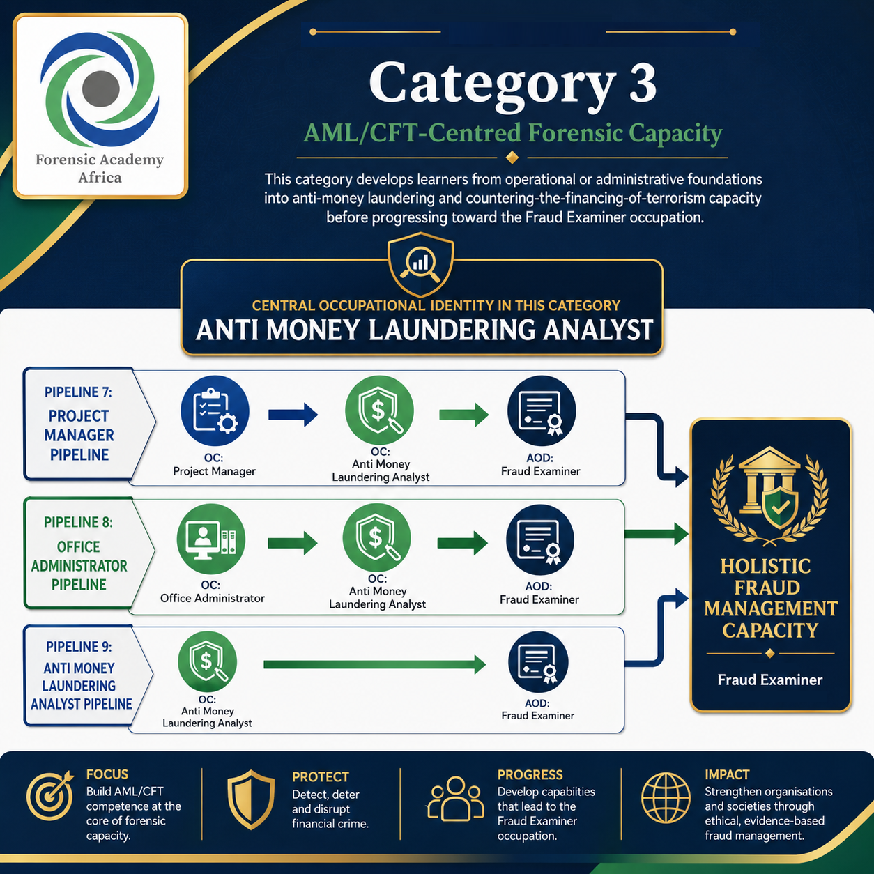 Anti Money Laundering Analyst as the central occupational identity.