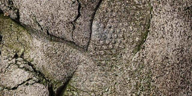 Crime Scene Movements Reconstructed with Footprints