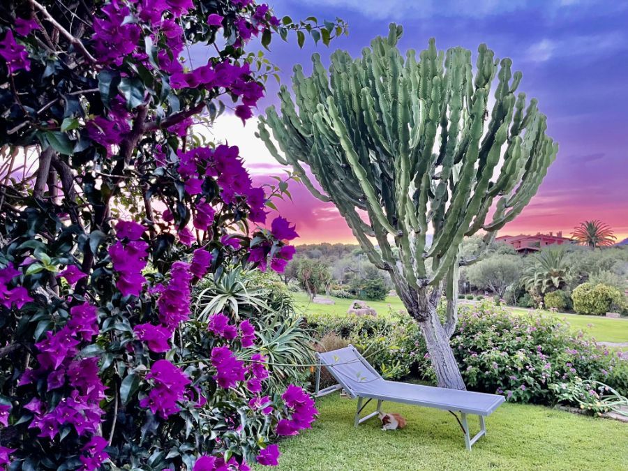 Pflege von Grünflächen