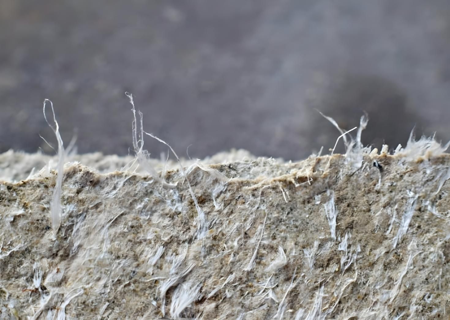 A Close Up of a Piece of Asbestos — Husky Demolition In Heatherbrae, NSW