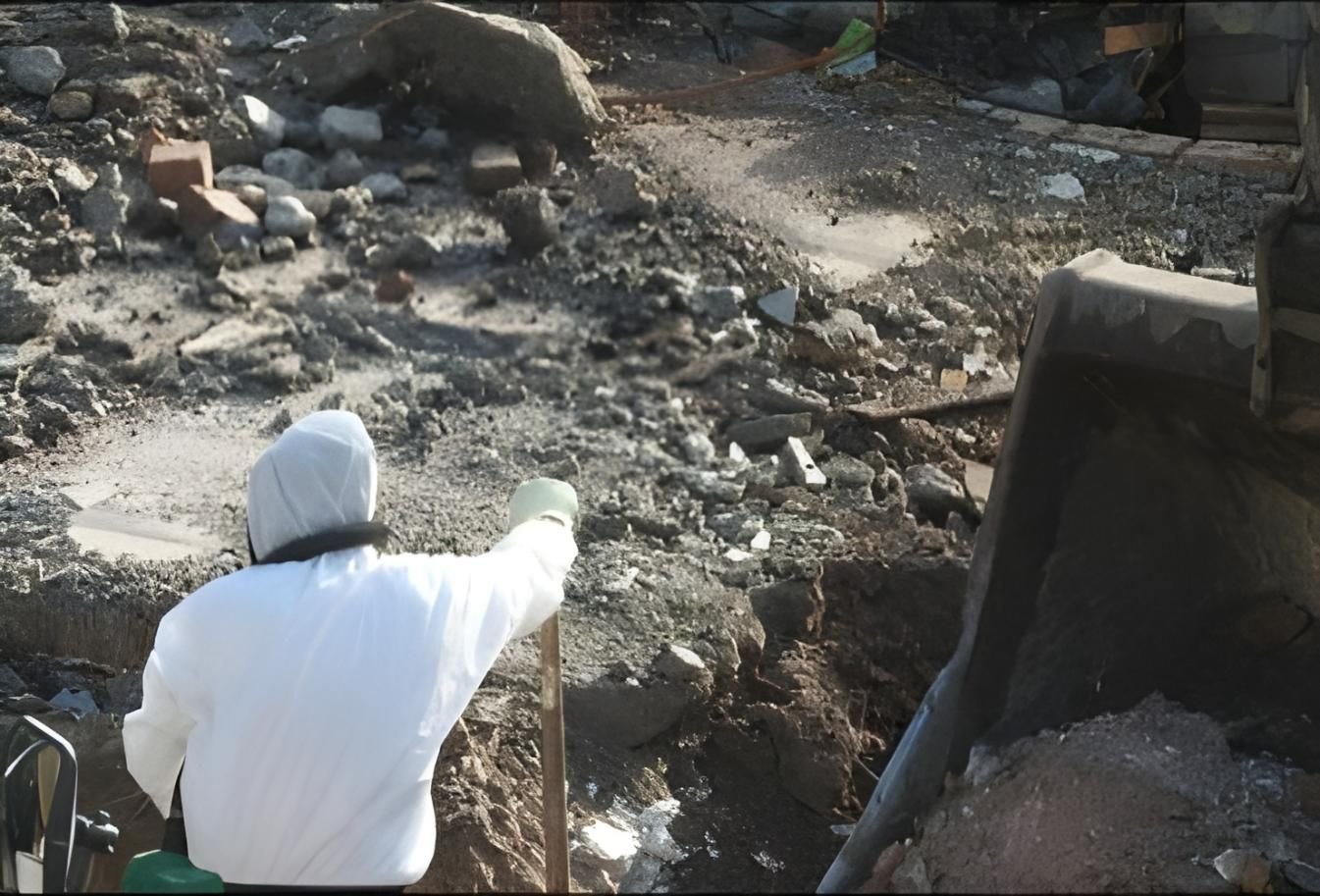 A Man in a Bee Suit is Digging in the Dirt — Husky Demolition In Heatherbrae, NSW