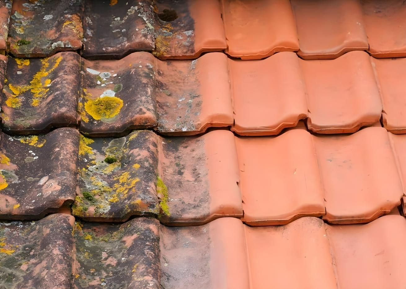 A close up of a roof tile before and after being cleaned — Husky Demolition In Heatherbrae, NSW