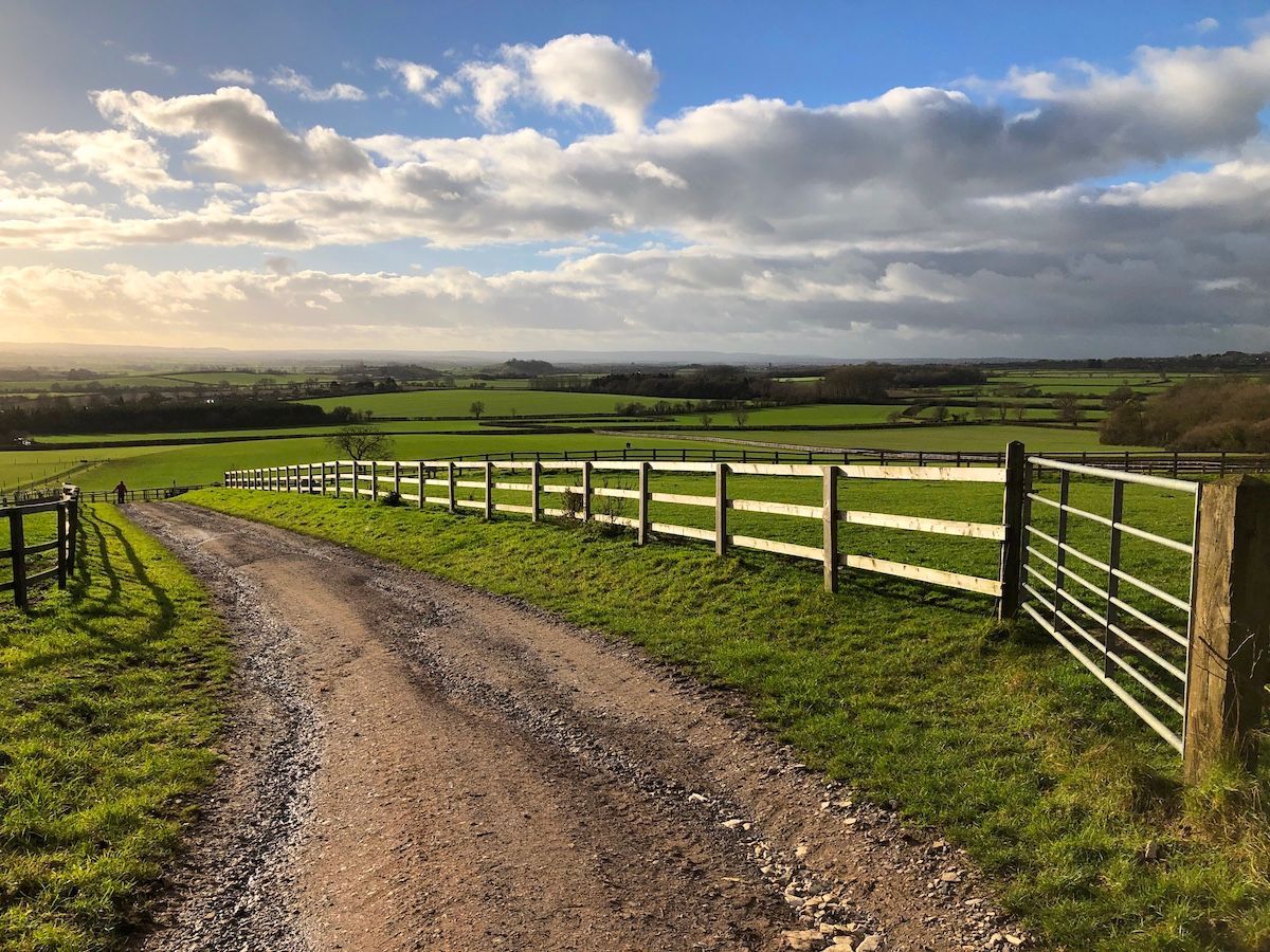 Everything You Need to Know About Mid-Missouri Farm Boundary Disputes With Haden & Colbert