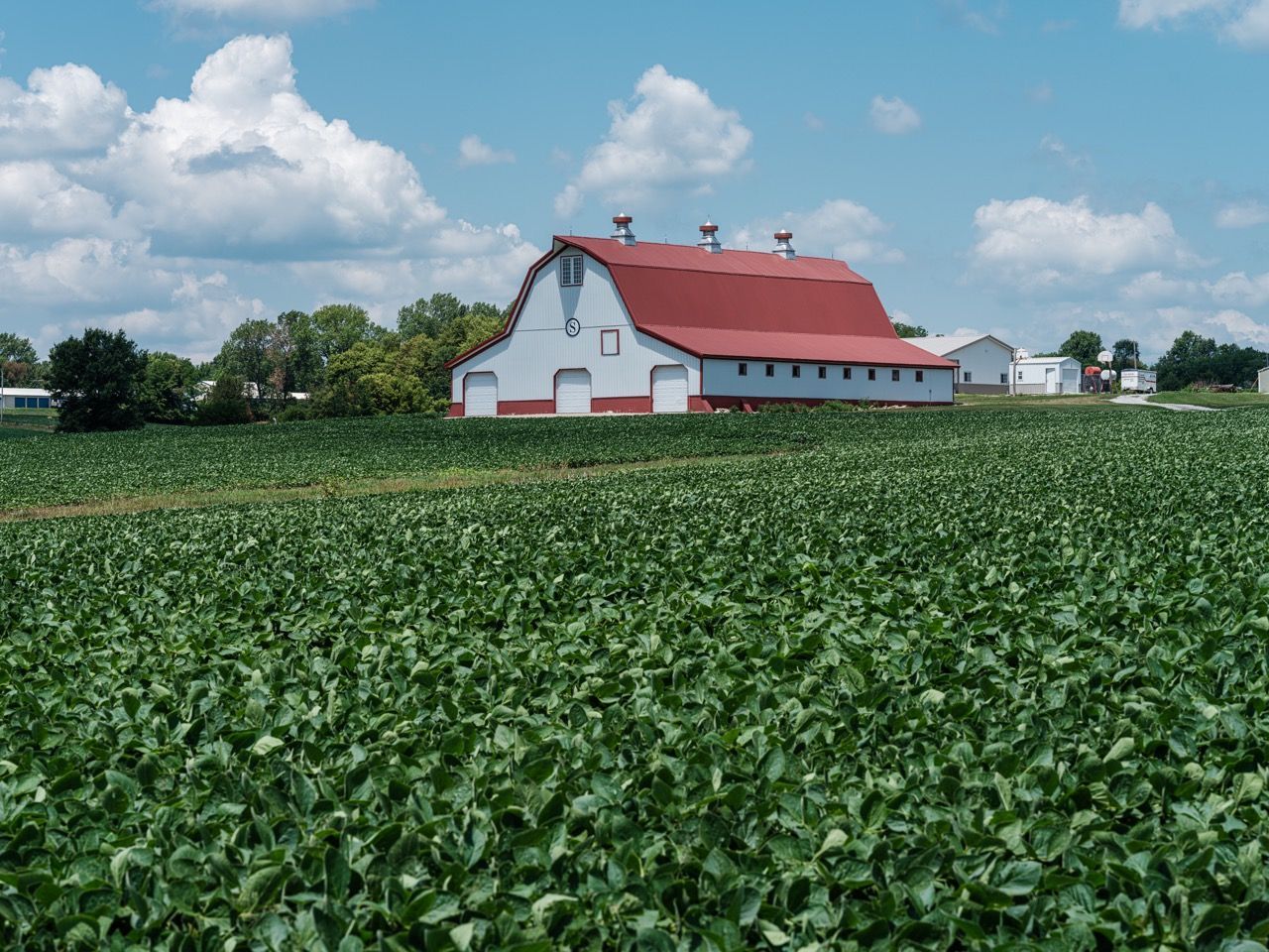  Haden & Colbert Lawyers Will Fight For Your Agricultural Law Case in Columbia, MO.