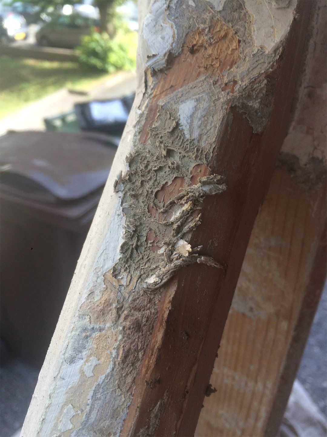 preparation and painting