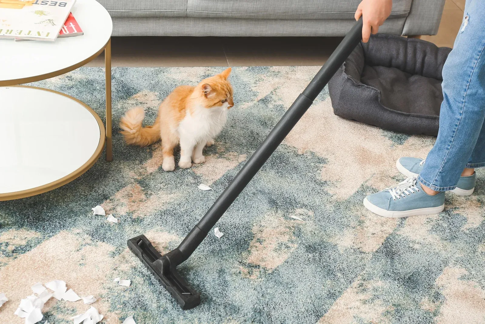 A person is vacuuming a rug in a living room while a cat looks on.