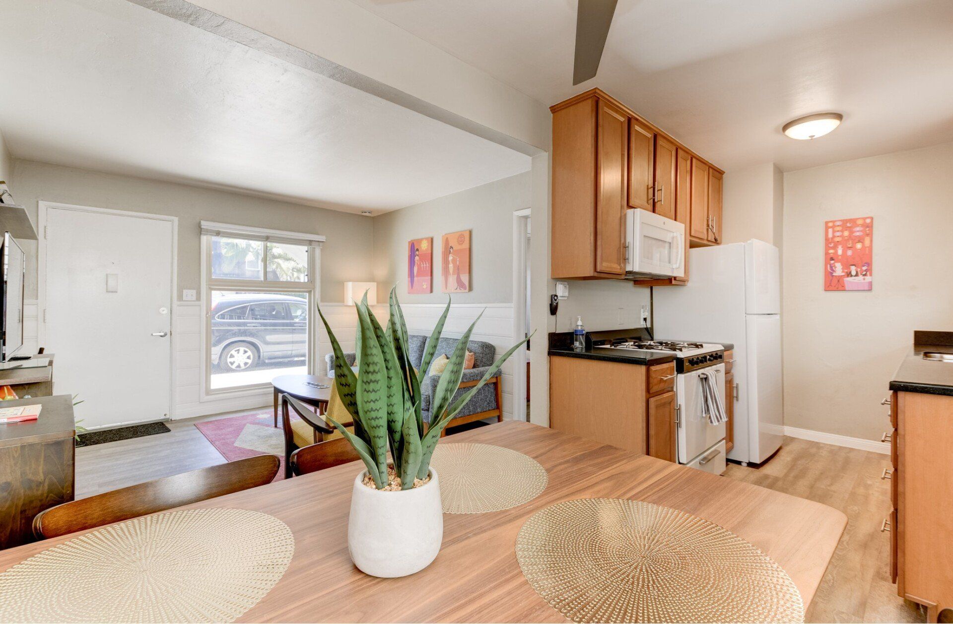 there is a plant on the table in the kitchen .