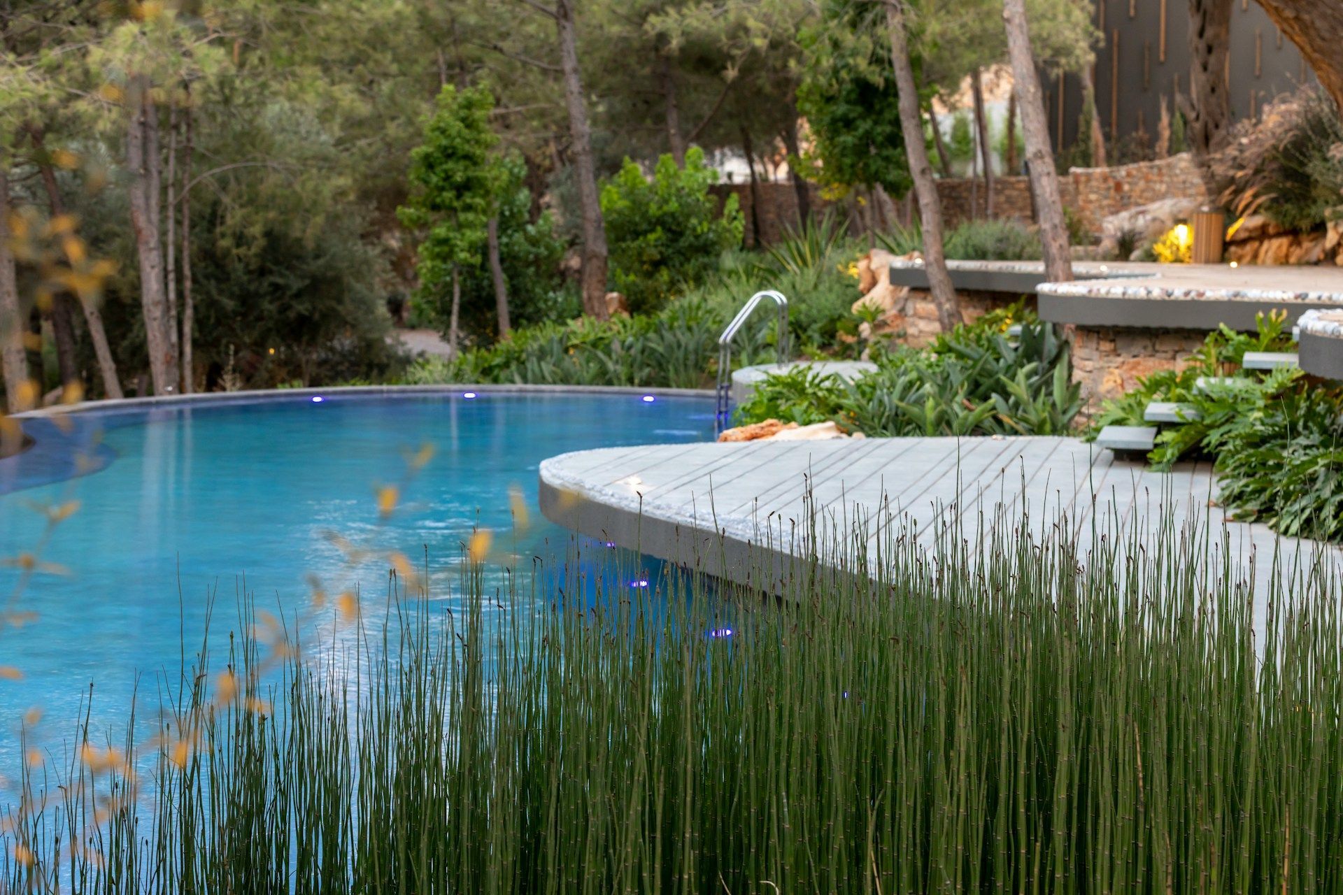 swimming pool with landscaping
