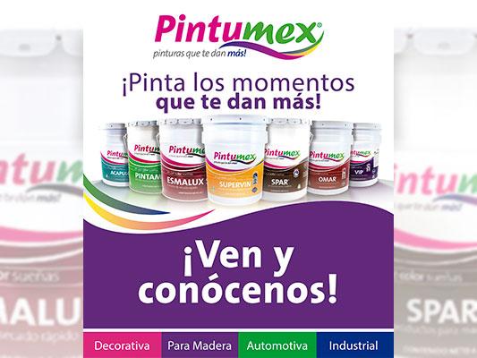 PINTURAS PINTUMEX VOLCANES - variedad de pinturas