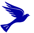 Blue dove in flight.
