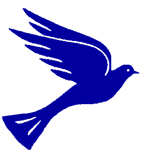 Blue dove in flight.