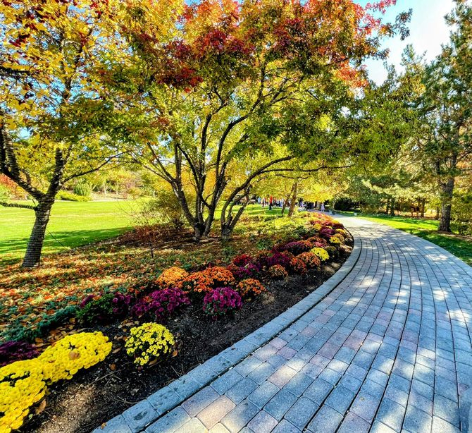 Curved park path beside colorful flower beds and autumn trees in bright sunlight