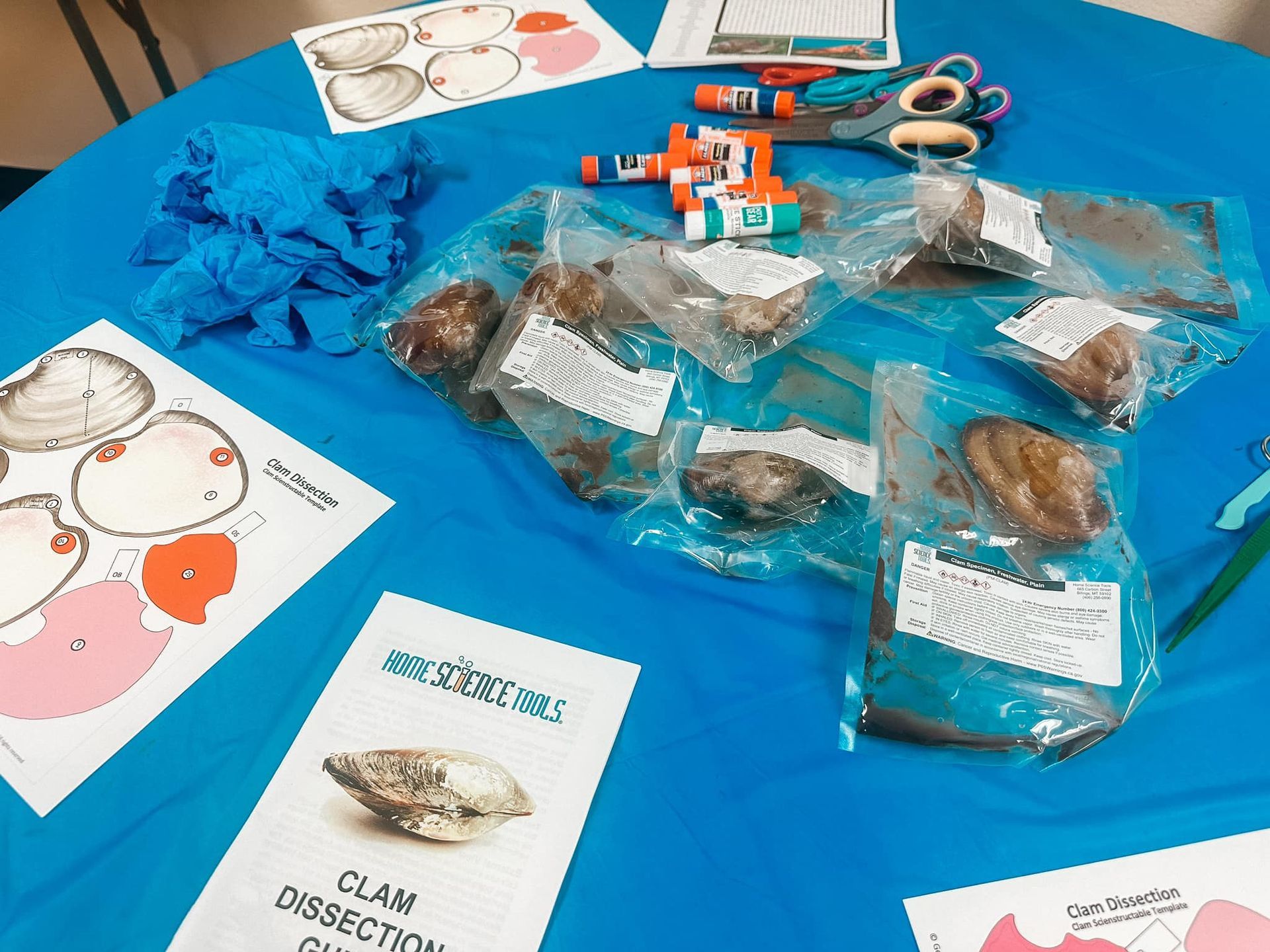 Several bags of clams are sitting on a blue table