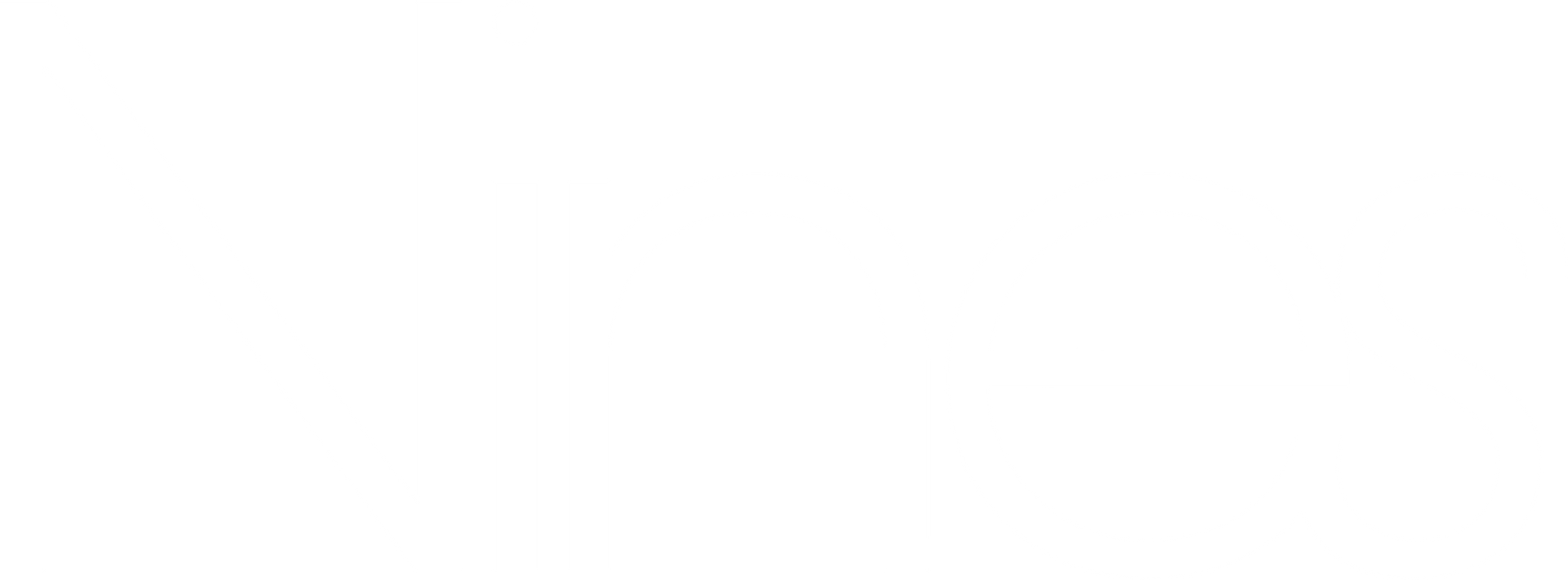 Nines wordmark logo in white
