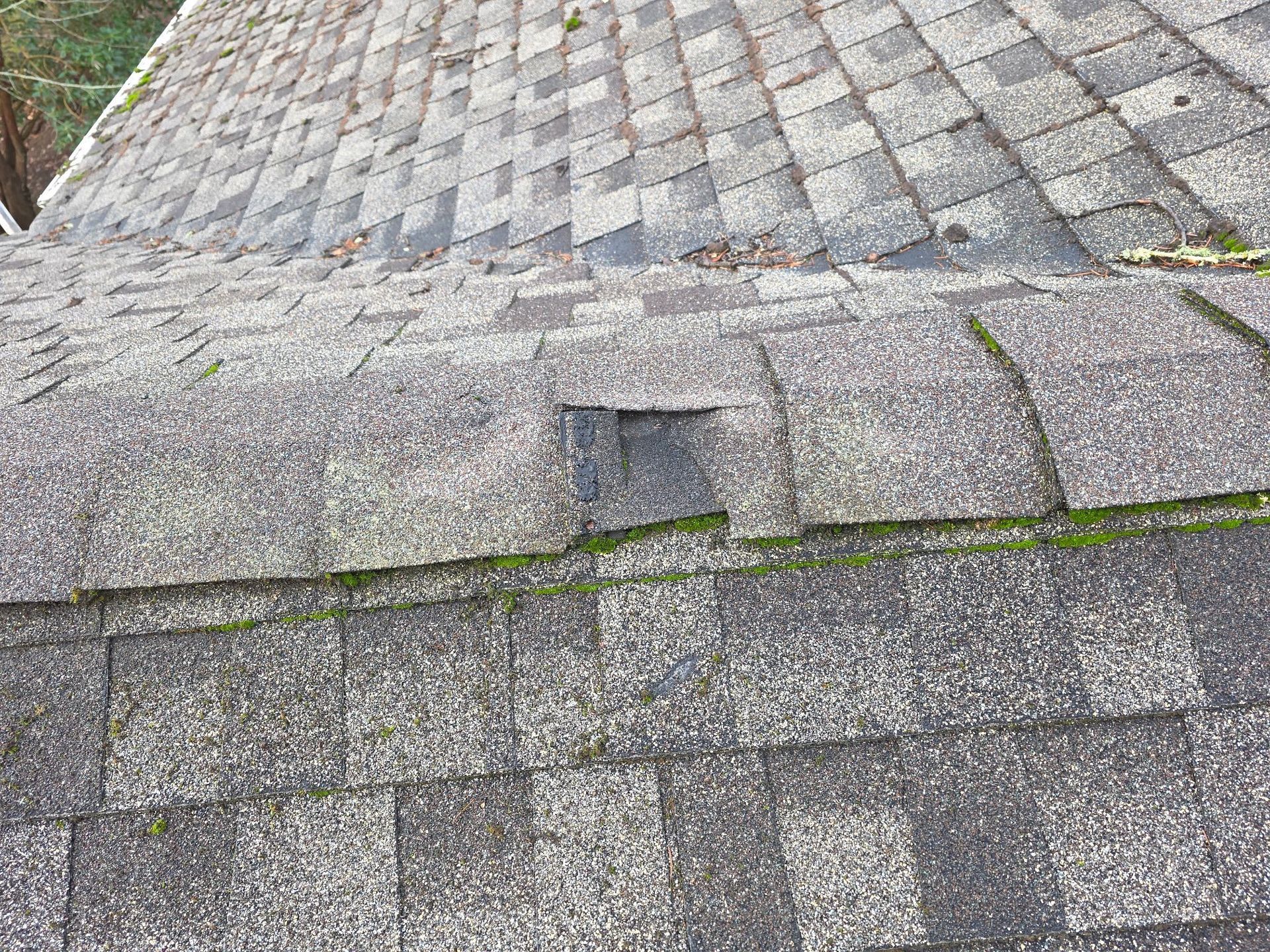 A close-up view of a shingled roof showing a missing piece of a ridge cap shingle and visible moss growth.